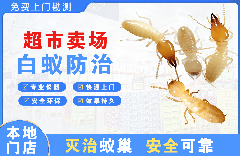 舟山超市卖场白蚁防治