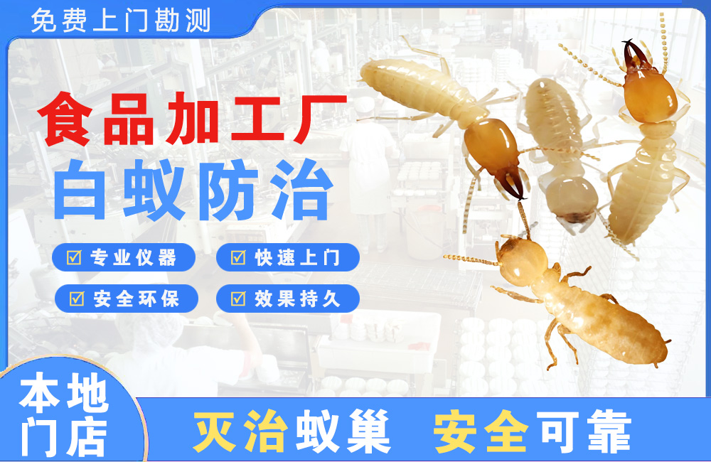 舟山食品加工厂白蚁防治