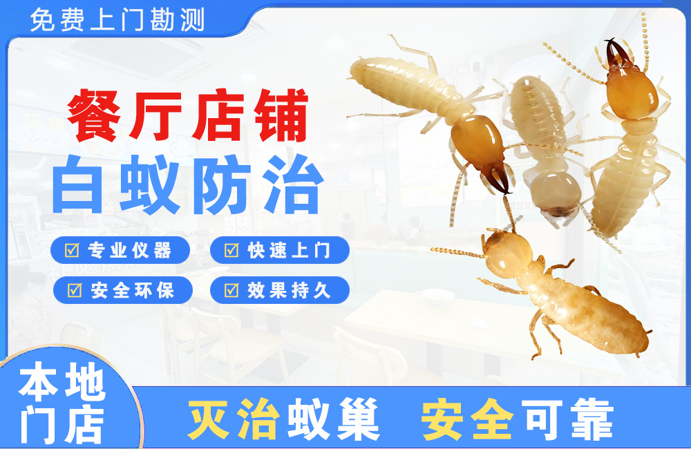 舟山餐厅店铺白蚁防治